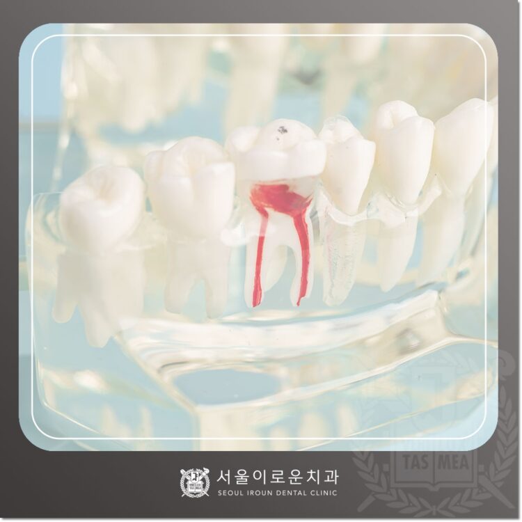 부천시청역치과